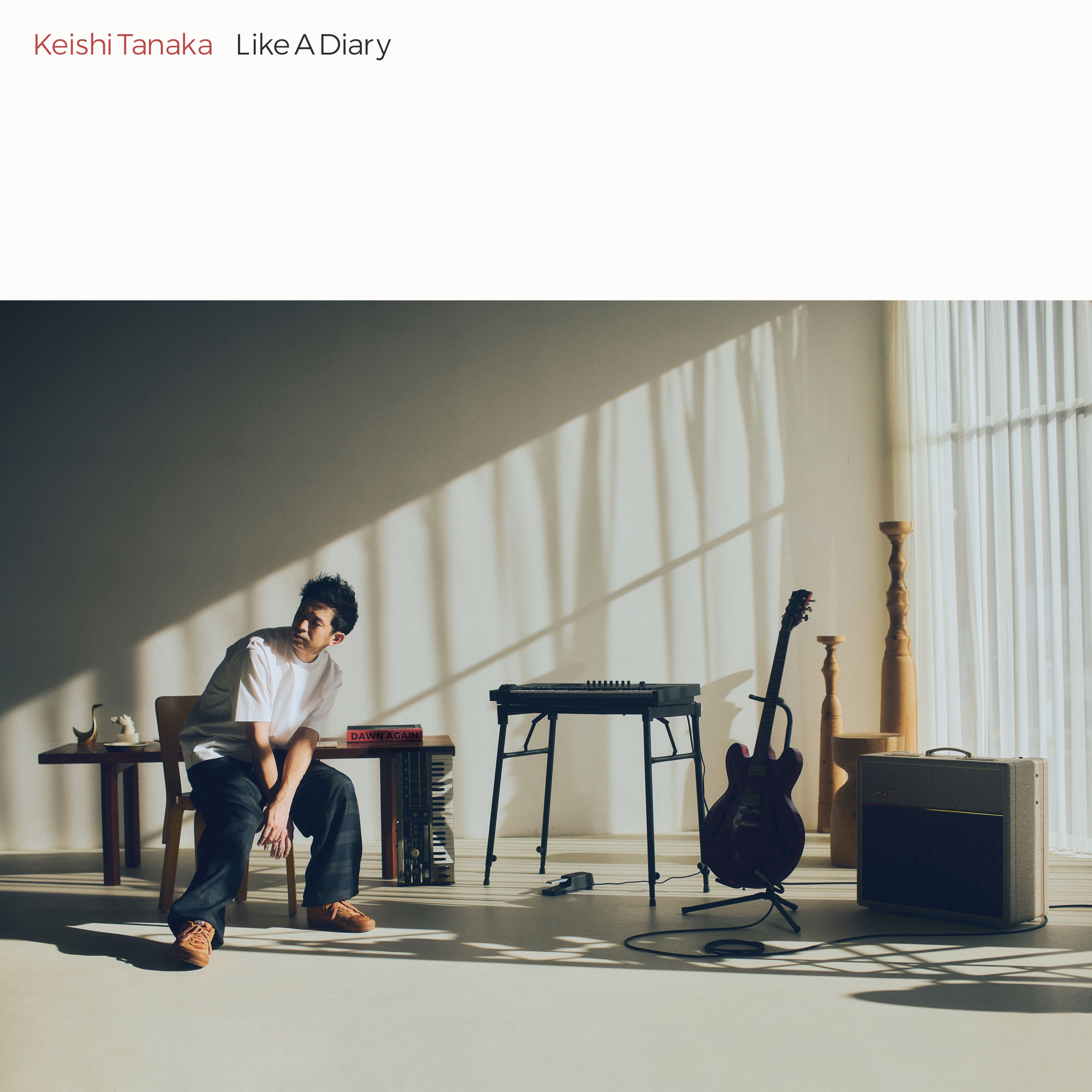 Keishi Tanaka "Like A Diary"